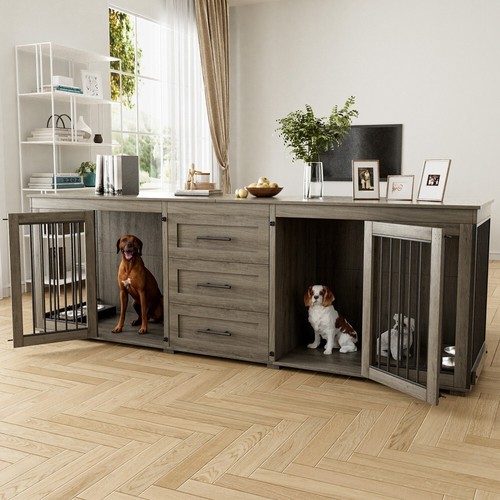 Indoor large dog - indoor,